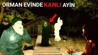 CİNLERİN KANLI AYİNLERİ Paranormal olaylar [upl. by Ennasus]