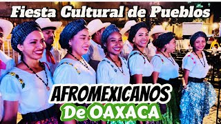 SEGUNDO ENCUENTRO DE PUEBLOS AFROMEXICANOS DE OAXACA [upl. by Bj]