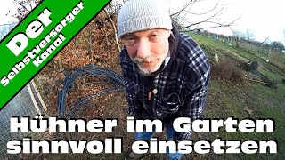 Hühner im Garten sinnvoll einsetzen [upl. by Agni]