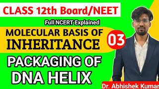 Packaging of DNA HELIX  NEET Biology 2025  NCERT Class12 [upl. by Gnus459]