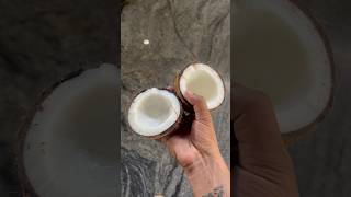 Making of pure coconut Oil shorts india coconutoil [upl. by Garnette]