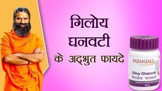 गिलोय घनवटी Giloy Vati के अद्भुत फायदे  Swami Ramdev [upl. by Ahsercul]