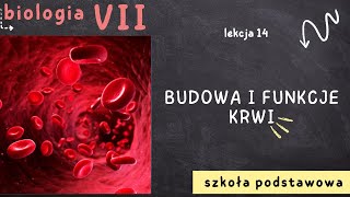 Biologia 7 Lekcja 14  Budowa i funkcje krwi [upl. by Navillus709]