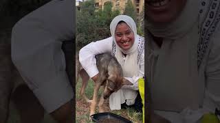 حكاية روشا الكلبة اللي لقيتها جنب مامتها المتحللة في الصحرا  Roosha’s Rescue Story from the Desert [upl. by Klina]