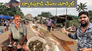 ద్వారపూడి చేపల మార్కెట్ కోనసీమ  పులస  Dwarapudi fish market konaseema [upl. by Adnic]