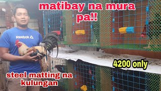 Paano gumawa ng matibay na tangkal ng manok kulungan ng manok panabong [upl. by Hana]