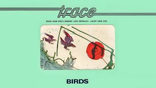 Progressive Rock  1975 Trace  Birds Extended Version [upl. by Callum]