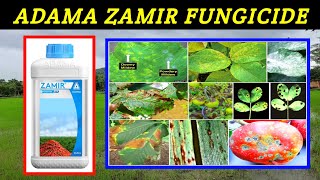 Adama zamir fungicide Tebuconazole124 prochloraz 246EWzamir fungicide price dose work result [upl. by Tutto549]