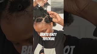 How to Do Bantu Knots  Blow Dried 4C Hair  African Hairstyle  2024 Sisi Nike [upl. by Marr]