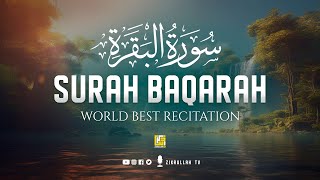 Surah Al Baqarah Full سورة البقره Beautiful Voice Heart Touching Quran Recitation  Zikrullah TV [upl. by Suilenroc129]