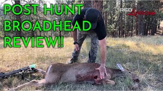 G5 Megameat Post Hunt Broadhead Review [upl. by Dahsra]