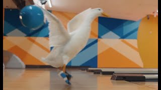 Aflac Commercial 2024 Bowling Ad Review [upl. by Jeff]