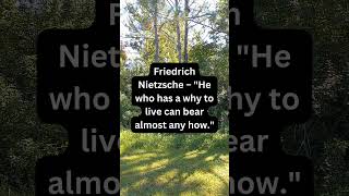 What Insights Does Friedrich Nietzsche Offer on Finding Purpose and Resilience in Your Why how [upl. by Anhoj3]