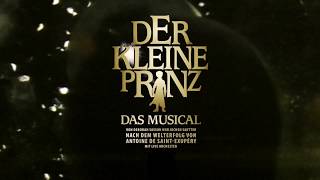 Der kleine Prinz Tournee 2018 [upl. by Eniamzaj987]