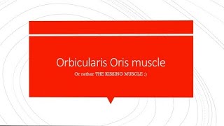 Orbicularis Oris  Simple and Easy [upl. by Durgy]