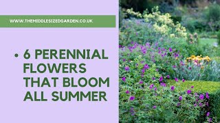 11 Easy Edible Perennials  Plant Once and Harvest Every Year [upl. by Gambell210]