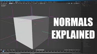 What Are Normals [upl. by Riker]