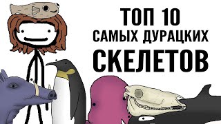 Топ 10 самых дурацких скелетов  Академия Сэма Онеллы  Озвучка Rumble [upl. by Sugden365]