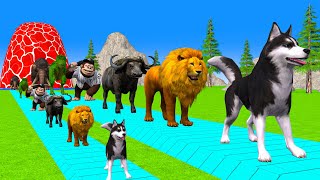 Paint amp Animals CowGorrilaLionTigerDogDinosaurMammoth Fountain Crossing Transformation Cartoon [upl. by Jb]