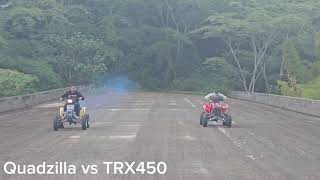 Quadzilla 500 vs TRX450 4trackbikelifepr [upl. by Aitnahc41]