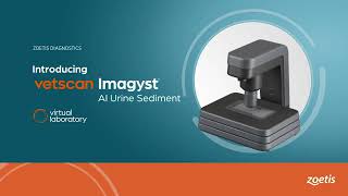 Vetscan Imagyst  How To Run an AI Urine Sediment analysis [upl. by Illom785]