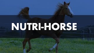 NutriHorse [upl. by Wolliw]