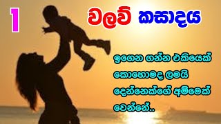 වලව් කසාද ය ආදරණීය කතාවක්  මේ තරම් ආදරයක් විස්වාස කරන්න පුලුවන්ද සිංහල නවකතා [upl. by Nyleimaj]