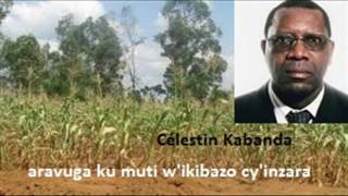 CÃ©lestin Kabanda aravuga ku muti wikibazo cyinzara [upl. by Nailimixam]