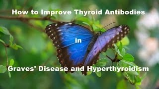 How to improve Thyroid Antibodies in Graves Disease and Hyperthyroidism [upl. by Nylknarf]