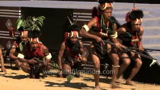 Konyak Naga  martial tribe performs at Hornbill Festival in India [upl. by Oberstone51]