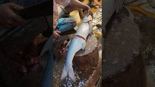 Popular Giant Threadfin  Rewas Fish Cutting By Expert Fish Cutter  Part1 shorts [upl. by Annoyek715]