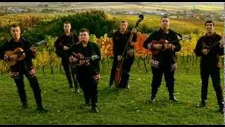 TS ŽUTE DUNJE  SAD BI DAO SVE OFFICIAL AUDIO 2013 [upl. by Bridges]