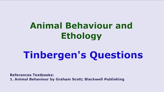 Tinbergens Question in Animal Behaviour  Ethology  Zoology Lecture BS MSc Bsc  Best Lecture [upl. by Ahsille]