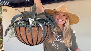 Making The Coolest Hanging Baskets 🤩 Featuring Proven Winners Mangave [upl. by Reld]