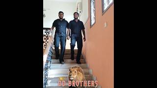 DD Brothers 💥🔥 deepanprorider dddinesh gethu brothers [upl. by Enida]