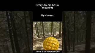 Every dream has a meaning meme  credit ButteredSideDown [upl. by Madison]