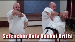 Practical Kata Bunkai Seienchin Seiyunchin Bunkai Drills [upl. by Jaime]