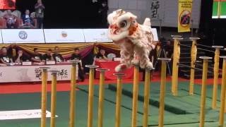 Indonesia FOBI  2016 World Lion Dance Championships  Preliminary Day 1 [upl. by Ogdon432]