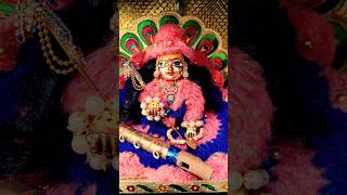 Aacha Lage se ll laddugopal kanha shyam mereladdugopalormain [upl. by Nekial]