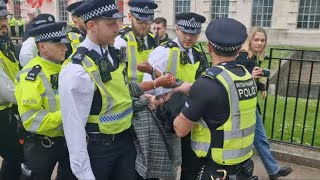 Ministry of defence attacked by free Palestine protesters Horse Guards shut down security alert ⚠️ [upl. by Ydal]