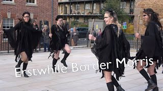 Erstwhile Border Morris dance quotBlacksleevesquot at Raggedstone Border Morris Birthday Bash in Ledbury [upl. by Yremrej]