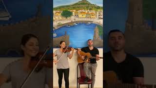 greek cypriot wedding music by Tommy Tsonis entertainment [upl. by Pappano361]