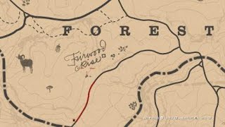 Red Dead Redemption 2 American Robin Location [upl. by Sadoff313]