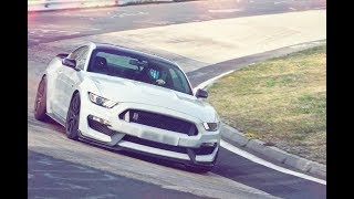 SCREAMING EXHAUST GT350 Nürburgring [upl. by Zandra]