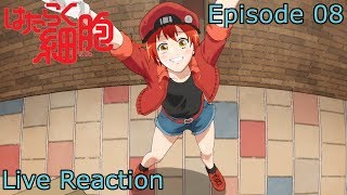 Live Reaction Hataraku Saibou Episode 8 [upl. by Whelan]