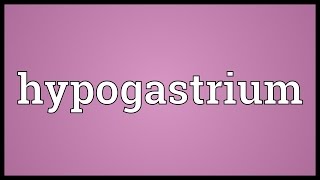 Hypogastrium Meaning [upl. by Nref]