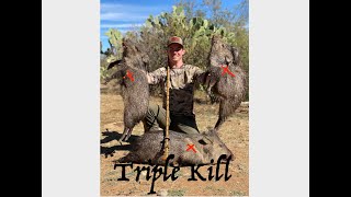 Blowgun Hunting Javelina Double Kill [upl. by Ariik286]