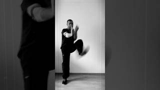 Wing Tsun  wooden dummy techniques [upl. by Ellehcar393]