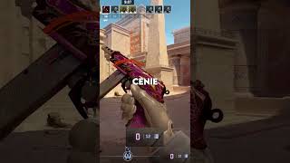 NSJGORSZE BRONIE CS 2 🤯 cs2 csgo counterstrike [upl. by Tinor]