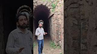 राजाओं के समय की मार्केट। reels short Heritage history hindi india SathlatheVlog [upl. by Oiratnom]